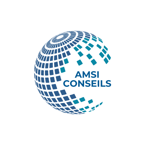 AMSI CONSEILS